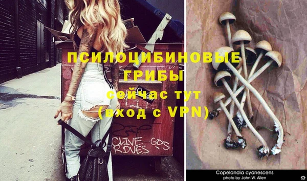 бутират Богородицк