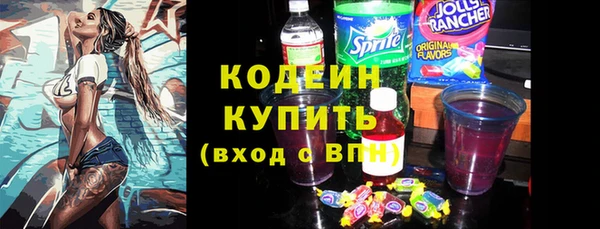 индика Гусев